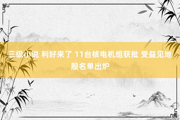 三级小说 利好来了 11台核电机组获批 受益见地股名单出炉