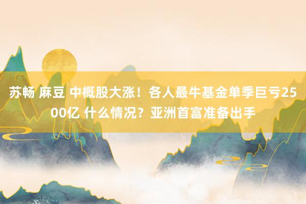 苏畅 麻豆 中概股大涨！各人最牛基金单季巨亏2500亿 什么情况？亚洲首富准备出手