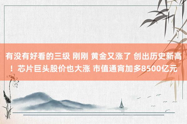 有没有好看的三级 刚刚 黄金又涨了 创出历史新高！芯片巨头股价也大涨 市值通宵加多8500亿元