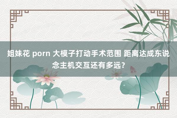 姐妹花 porn 大模子打动手术范围 距离达成东说念主机交互还有多远？