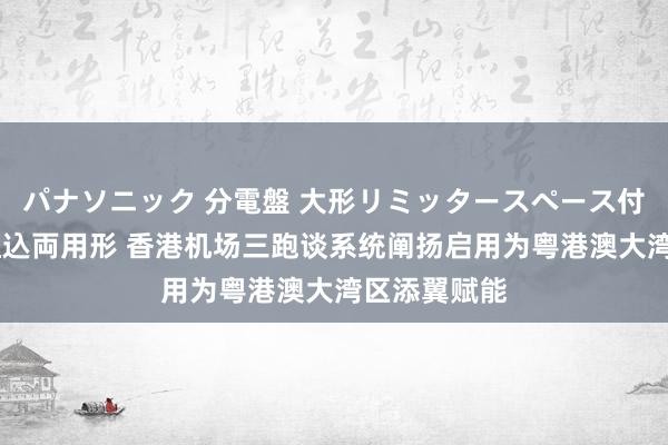パナソニック 分電盤 大形リミッタースペース付 露出・半埋込両用形 香港机场三跑谈系统阐扬启用为粤港澳大湾区添翼赋能
