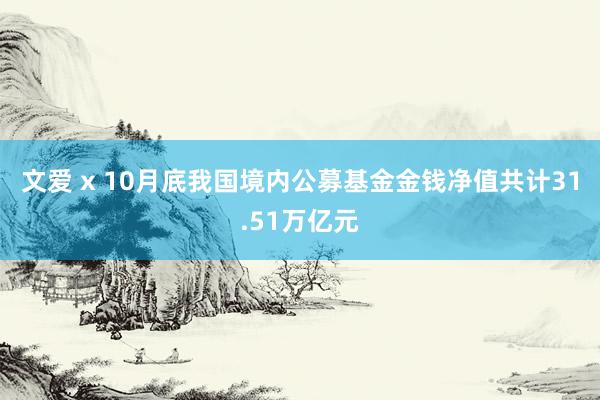 文爱 x 10月底我国境内公募基金金钱净值共计31.51万亿元