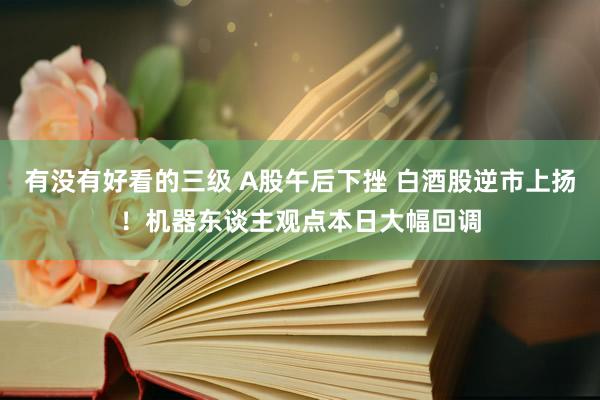 有没有好看的三级 A股午后下挫 白酒股逆市上扬！机器东谈主观点本日大幅回调