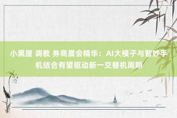 小黑屋 调教 券商晨会精华：AI大模子与智妙手机结合有望驱动新一交替机周期