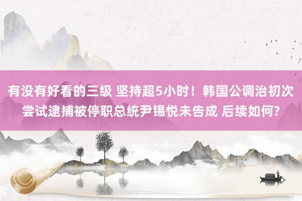 有没有好看的三级 坚持超5小时！韩国公调治初次尝试逮捕被停职总统尹锡悦未告成 后续如何?
