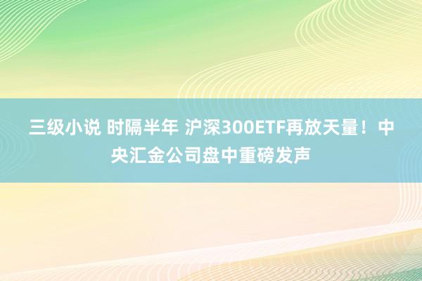 三级小说 时隔半年 沪深300ETF再放天量！中央汇金公司盘中重磅发声