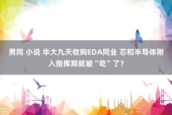 男同 小说 华大九天收购EDA同业 芯和半导体刚入指挥期就被“吃”了？